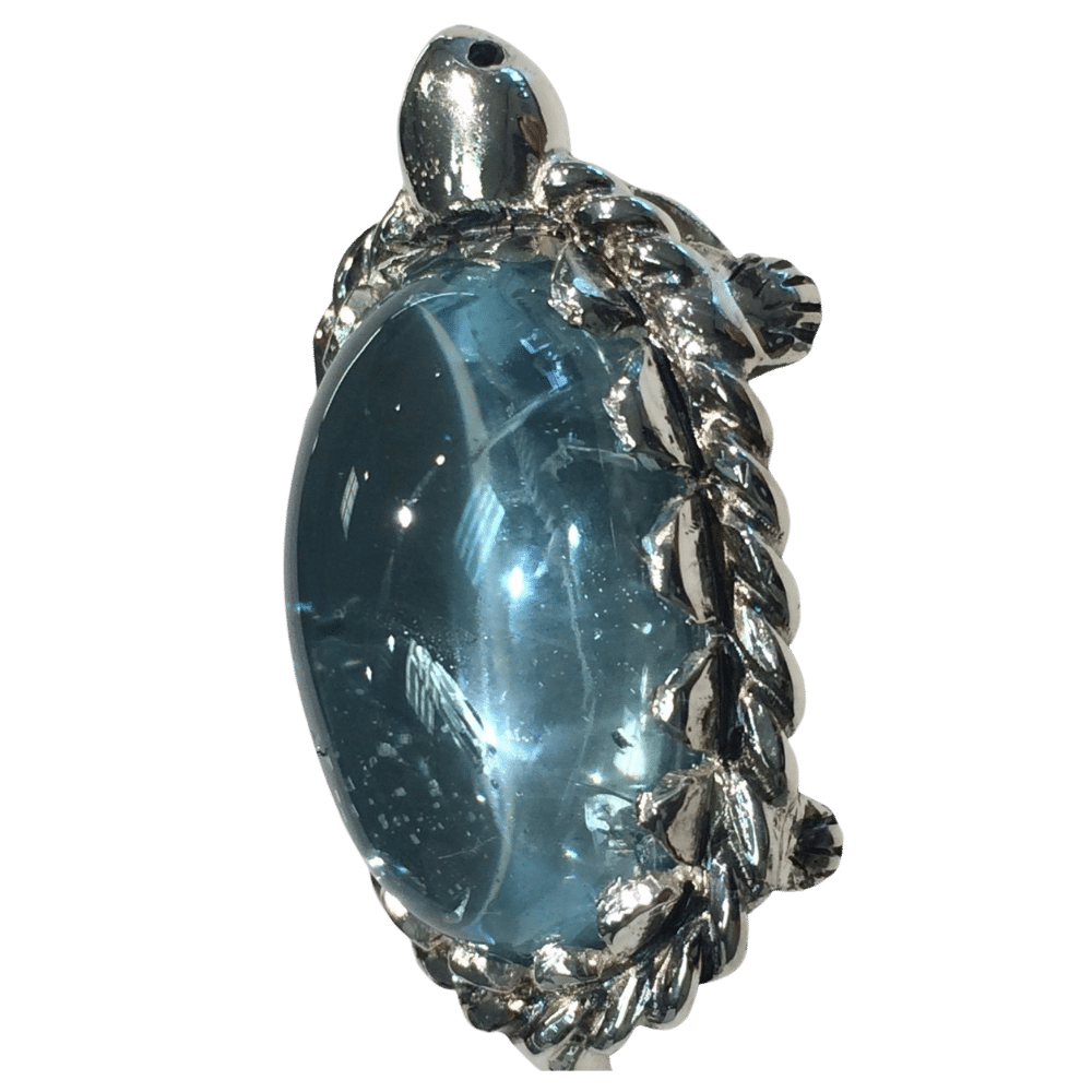 turtle pendant side view